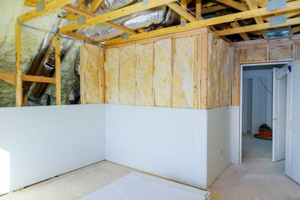 Best Insulation Removal Services  in Pelion, SC