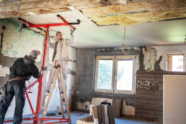 Best Local Insulation Services  in Pelion, SC