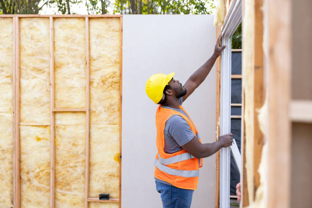 Best Soundproof Insulation Installation  in Pelion, SC