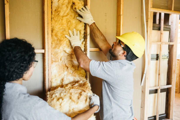 Insulation Replacement Services in Pelion, SC