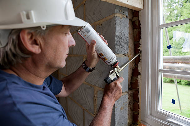 Best Insulation Inspection Services  in Pelion, SC