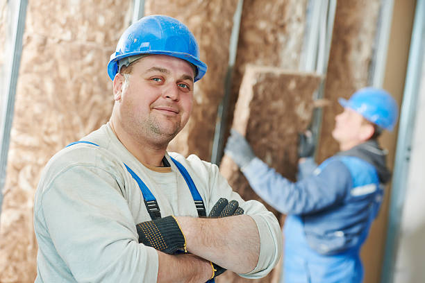 Best Energy-efficient Insulation  in Pelion, SC